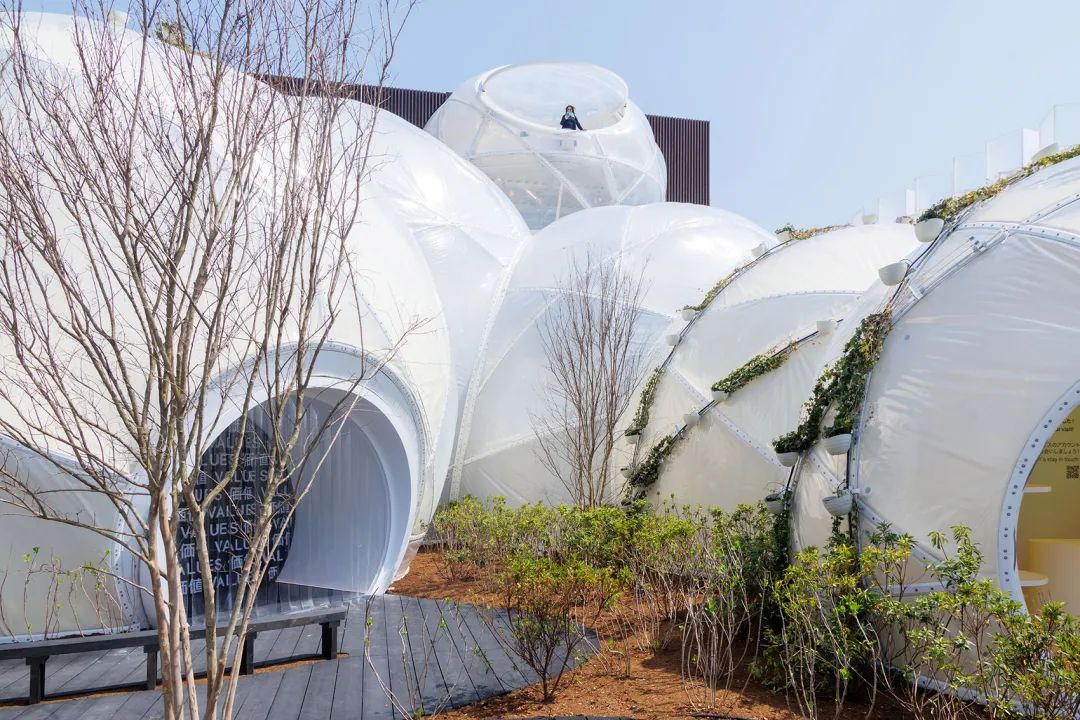 微信图片_20250513165236 微信图片_20250513165236