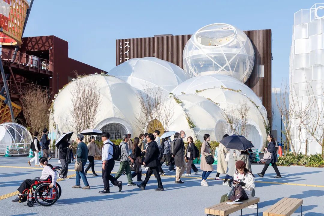 微信图片_20250513165226 微信图片_20250513165226